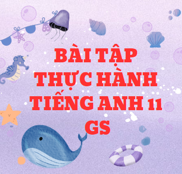 BÀI TẬP THỰC HÀNH TIẾNG ANH 11 GS