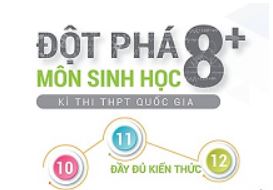 Bộ tài liệu, chuyên đề ôn thi THPTQG 8, 9, 10 điểm môn Sinh Học 2019