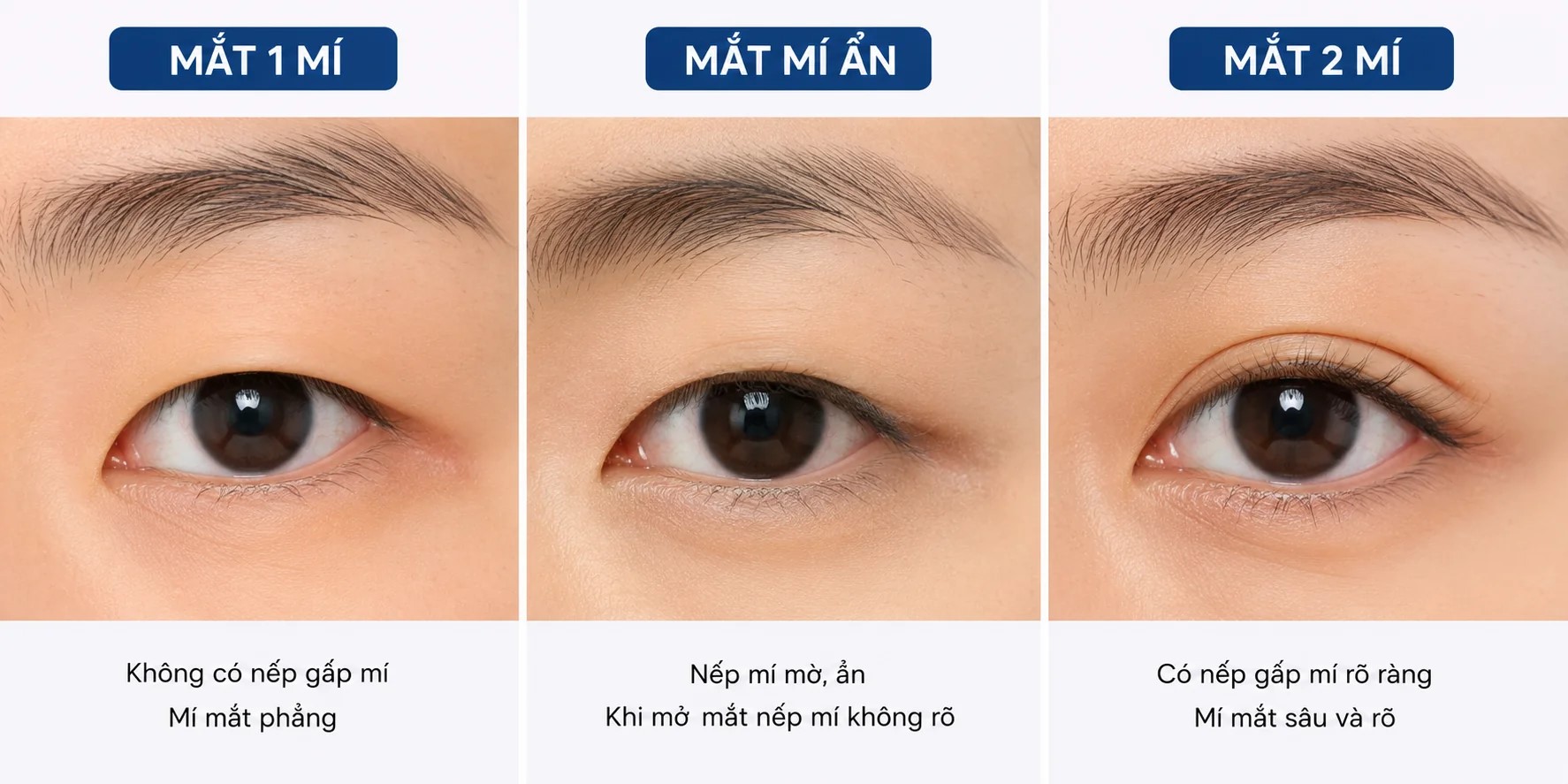 Vở ghi Bài 2- Sinh 12 - Kết nối