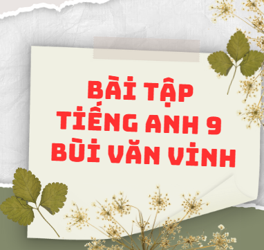 Bài tập Tiếng Anh 9 - Bùi Văn Vinh