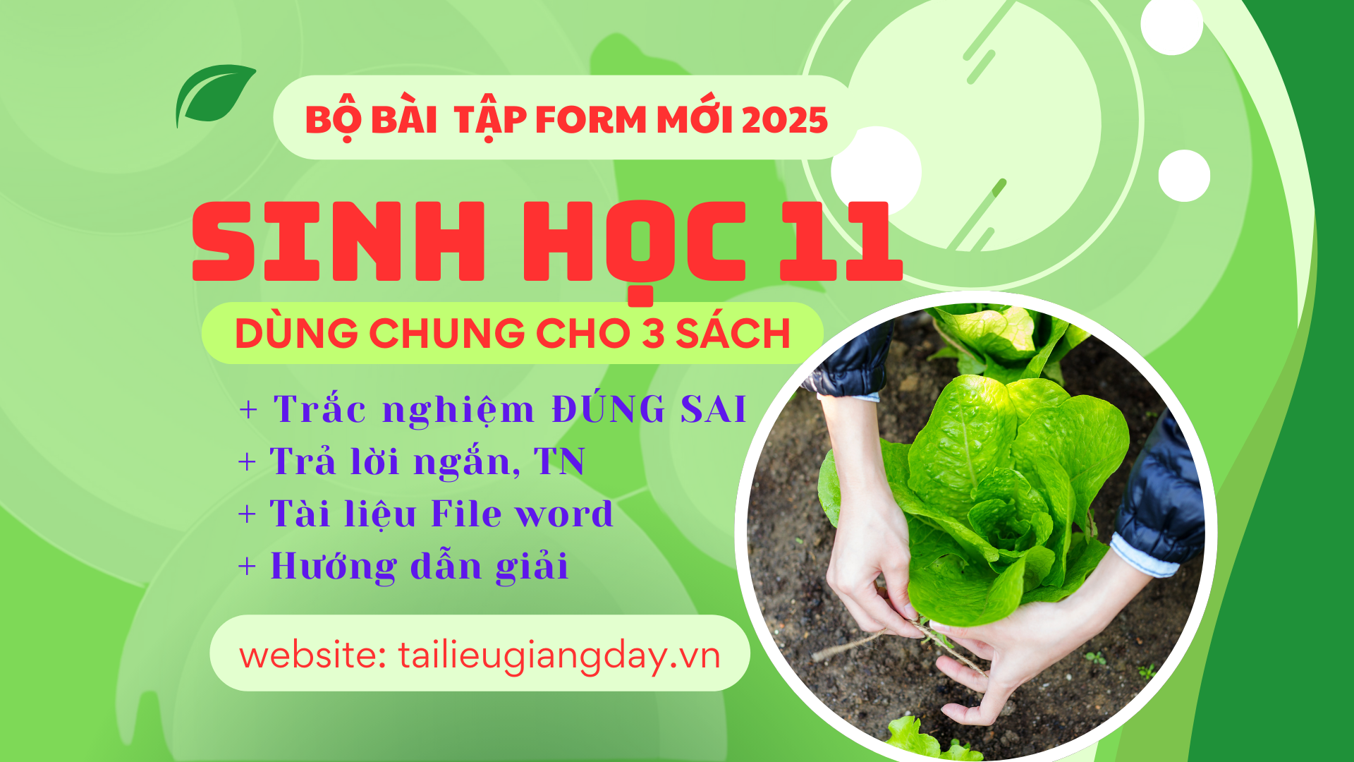 BỘ BÀI TẬP SINH HỌC 11 FORM MỚI 2025 ĐÚNG SAI, TRẢ LỜI NGẮN, TN (Dùng chung 3 sách)