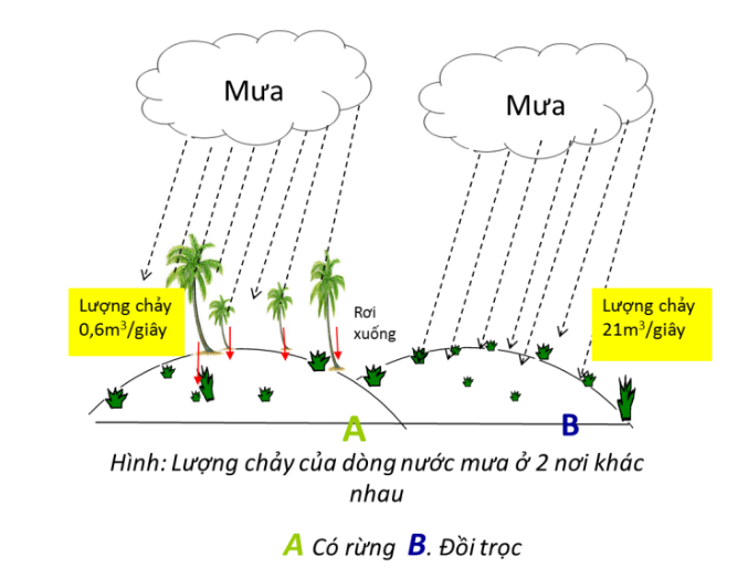 Vở ghi Bài 1- Công nghệ lâm nghiệp thủy sản 12 - Kết nối
