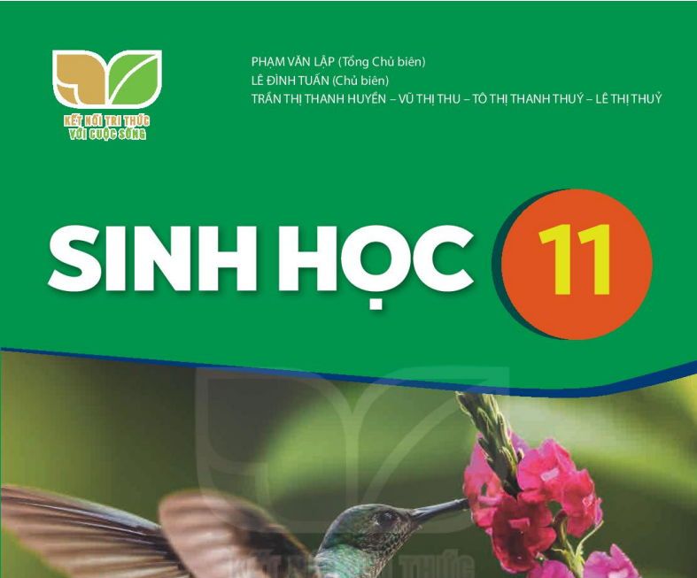 SÁCH GIÁO KHOA SINH HỌC 11 KẾT NỐI TRI THỨC Miễn phí