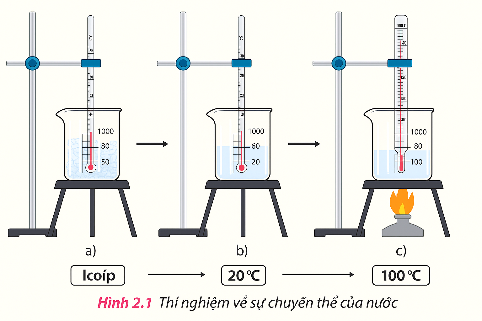 Nguyễn Hồng Tiến